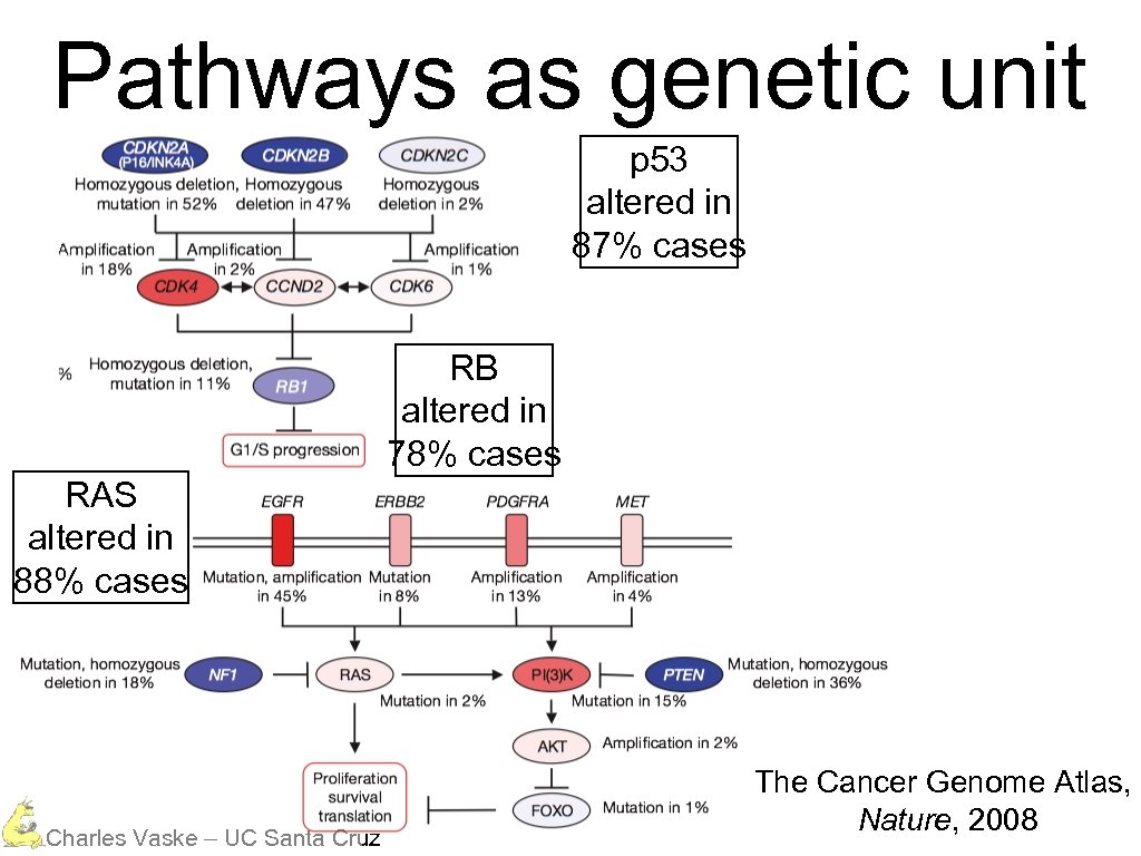 Pathways as genetic unit p 53 altered in 87% cases RB altered in 78%