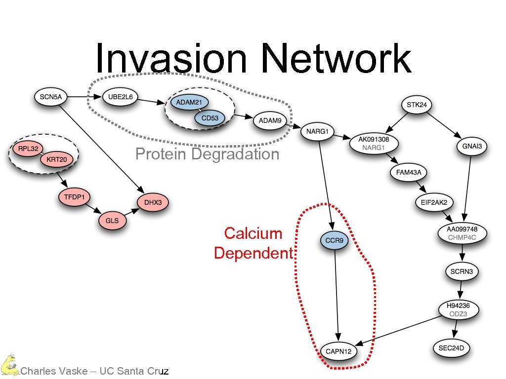Invasion Network Protein Degradation Calcium Dependent Charles Vaske – UC Santa Cruz 