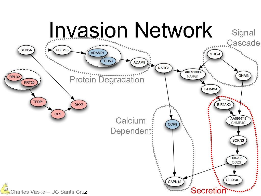 Invasion Network Protein Degradation Calcium Dependent Charles Vaske – UC Santa Cruz Secretion Signal