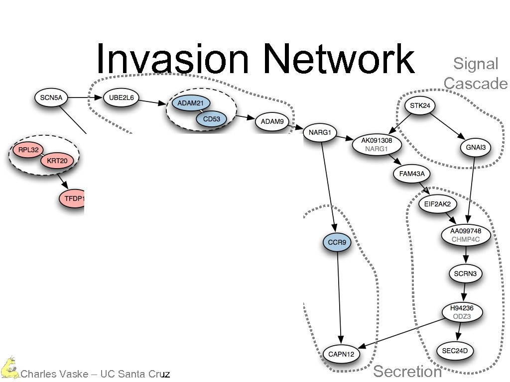 Invasion Network Protein Degradation Calcium Dependent Charles Vaske – UC Santa Cruz Secretion Signal