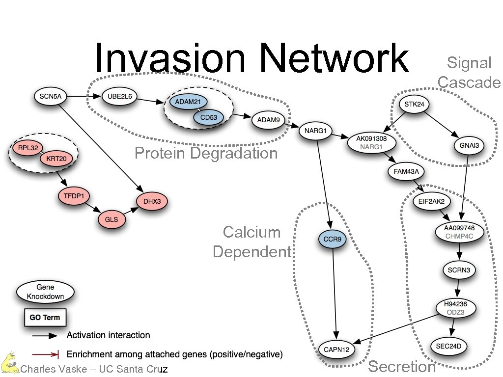 Invasion Network Protein Degradation Calcium Dependent Charles Vaske – UC Santa Cruz Secretion Signal