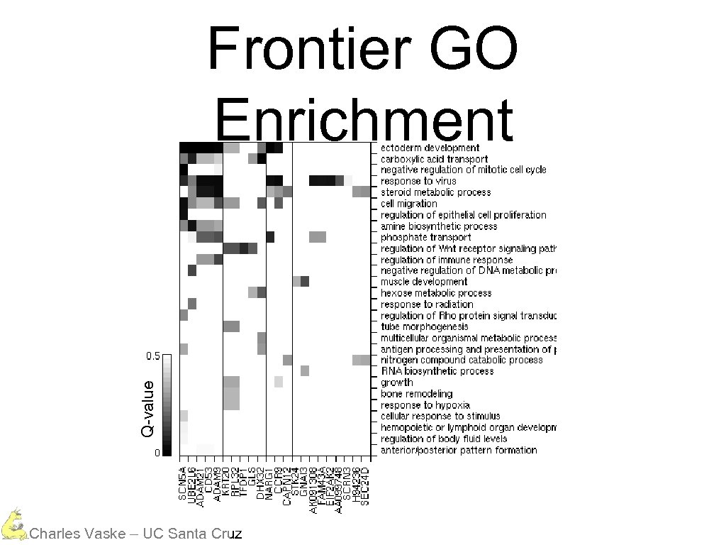 Q-value Frontier GO Enrichment Charles Vaske – UC Santa Cruz 