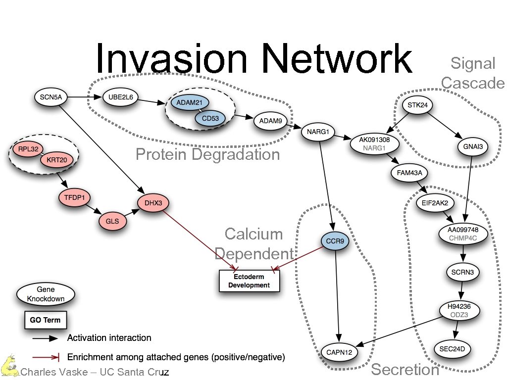 Invasion Network Protein Degradation Calcium Dependent Charles Vaske – UC Santa Cruz Secretion Signal