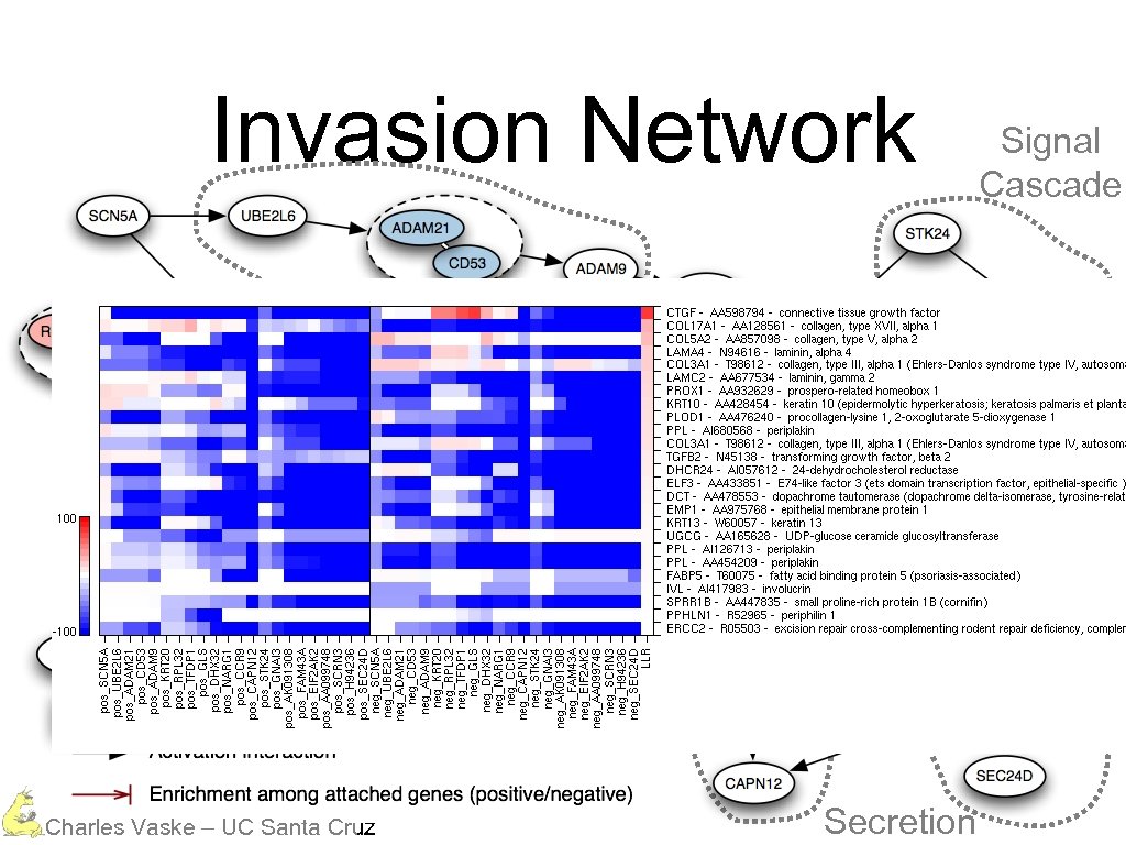 Invasion Network Protein Degradation Calcium Dependent Charles Vaske – UC Santa Cruz Secretion Signal