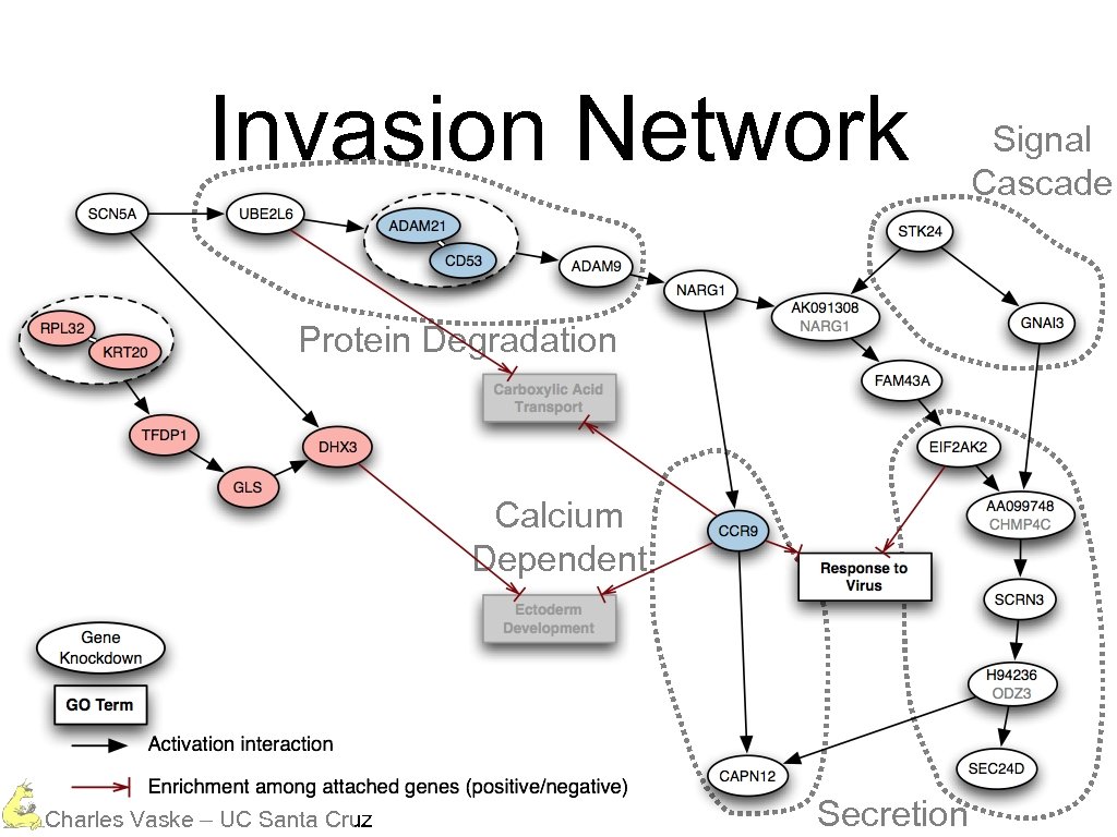 Invasion Network Protein Degradation Calcium Dependent Charles Vaske – UC Santa Cruz Secretion Signal
