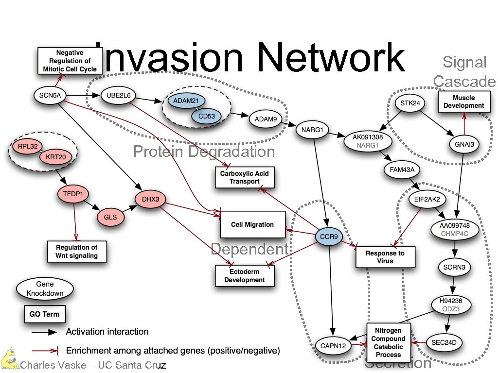 Invasion Network Protein Degradation Calcium Dependent Charles Vaske – UC Santa Cruz Secretion Signal
