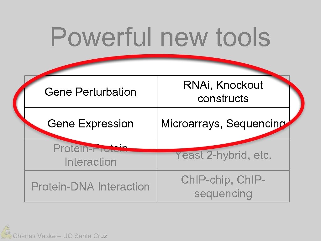 Powerful new tools Gene Perturbation RNAi, Knockout constructs Gene Expression Microarrays, Sequencing Protein-Protein Interaction