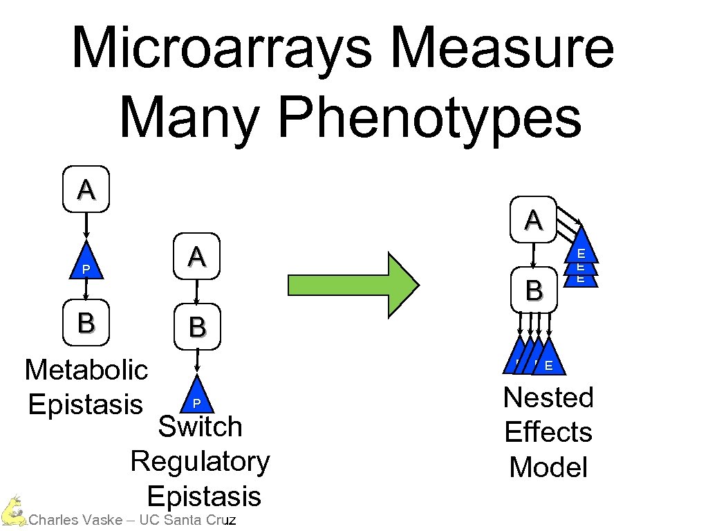 Microarrays Measure Many Phenotypes A A P A B B B Metabolic Epistasis E