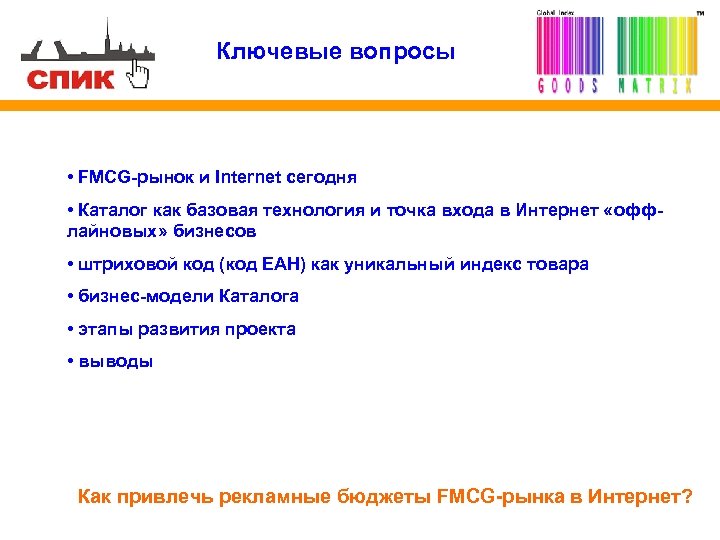 Ключевые вопросы • FMCG-рынок и Internet сегодня • Каталог как базовая технология и точка