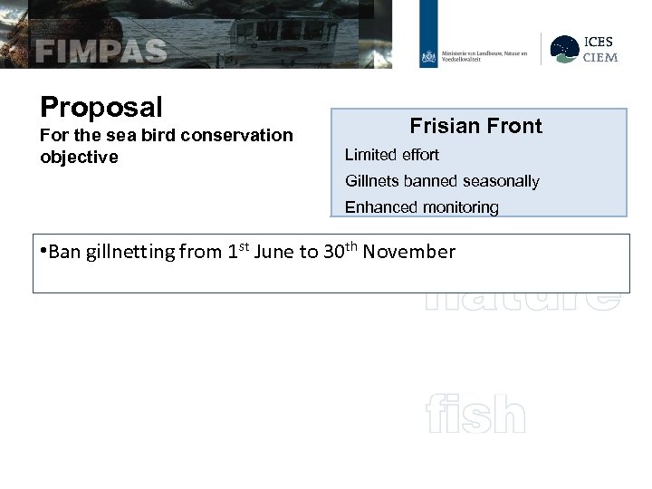 Proposal For the sea bird conservation objective Frisian Front Limited effort Gillnets banned seasonally