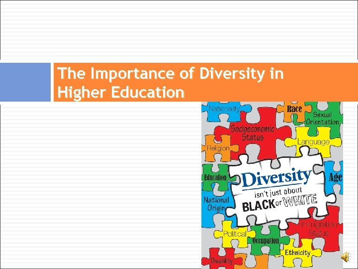 The Importance of Diversity in Higher Education 