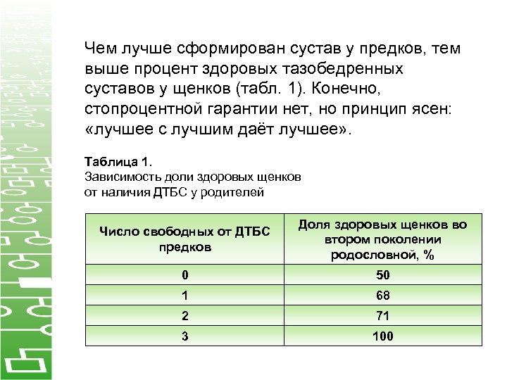 Чем лучше сформирован сустав у предков, тем выше процент здоровых тазобедренных суставов у щенков
