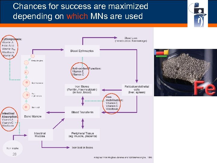 Chances for success are maximized depending on which MNs are used 26 