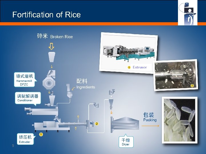Fortification of Rice Extrusor 9 