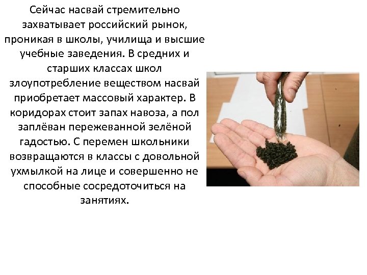 Сейчас насвай стремительно захватывает российский рынок, проникая в школы, училища и высшие учебные заведения.