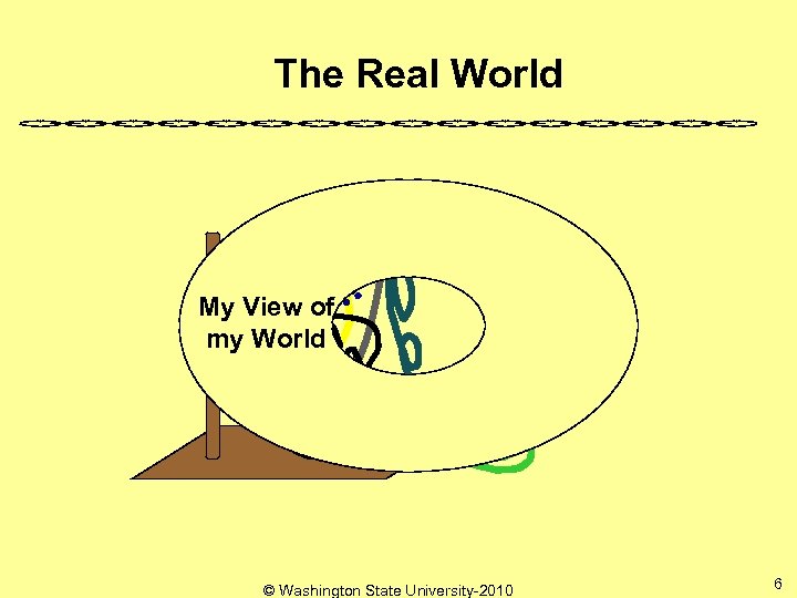 The Real World My View of my World © Washington State University-2010 6 
