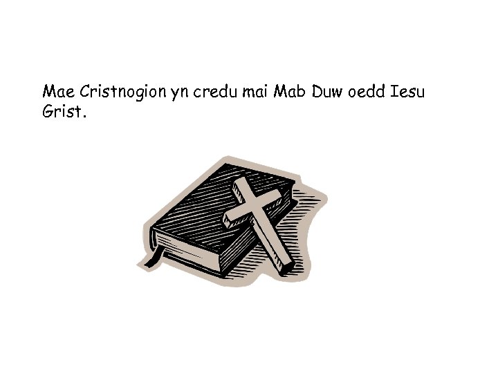 Mae Cristnogion yn credu mai Mab Duw oedd Iesu Grist. 