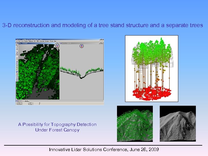 3 -D reconstruction and modeling of a tree stand structure and a separate trees