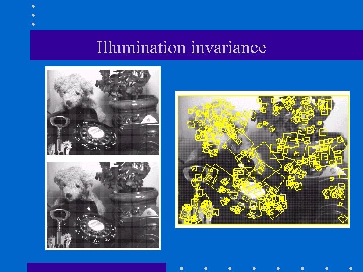 Illumination invariance 
