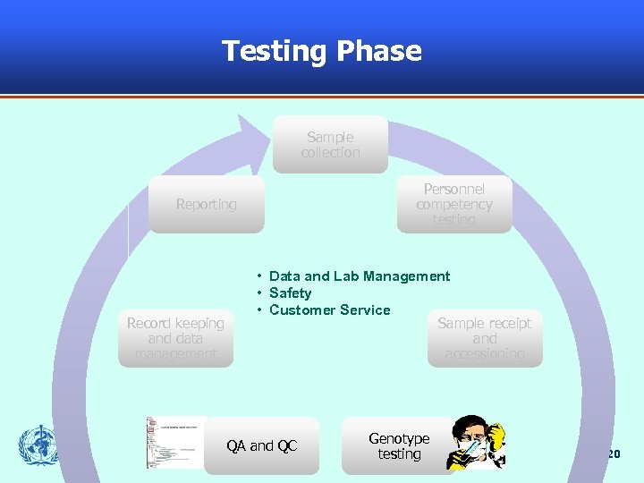 Testing Phase Sample collection Personnel competency testing Reporting Record keeping and data management •