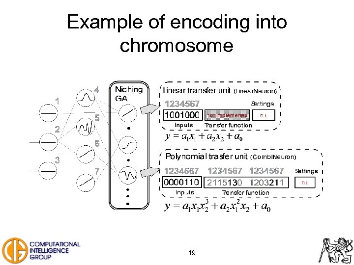 Example of encoding into chromosome 19 