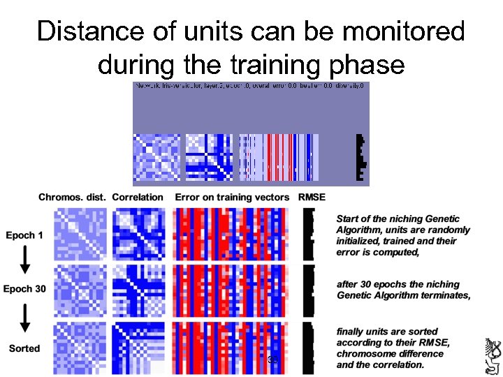 Distance of units can be monitored during the training phase 30 