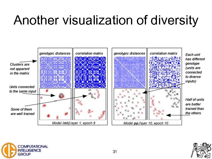 Another visualization of diversity 31 