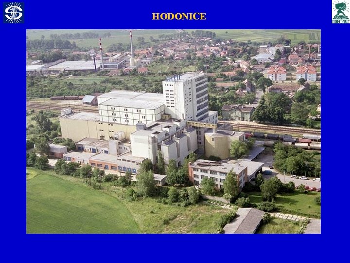 HODONICE 