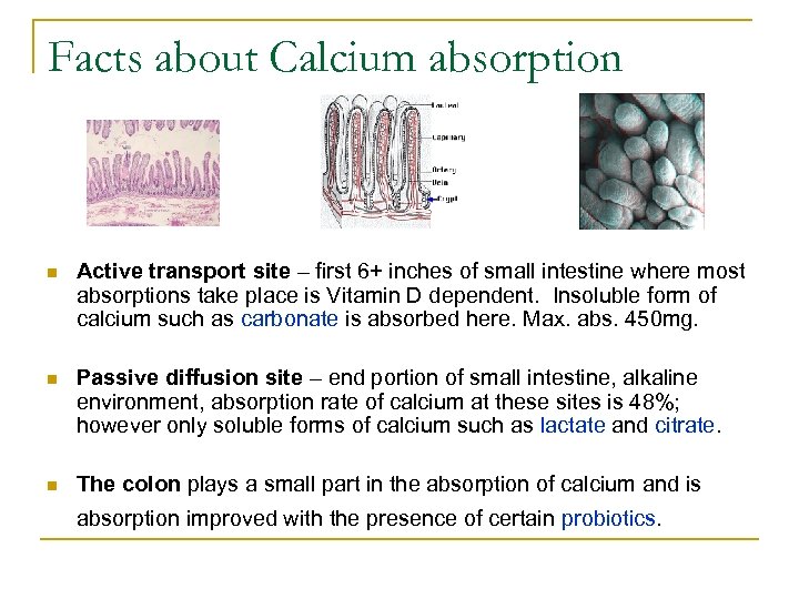 Facts about Calcium absorption n Active transport site – first 6+ inches of small