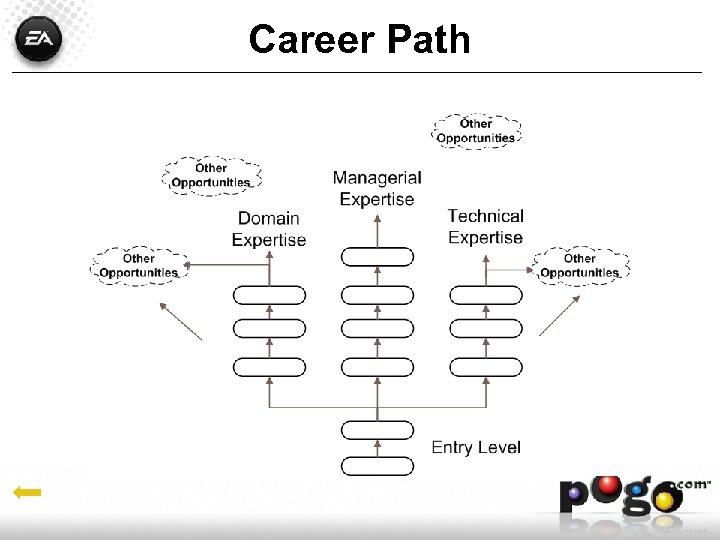 Career Path 