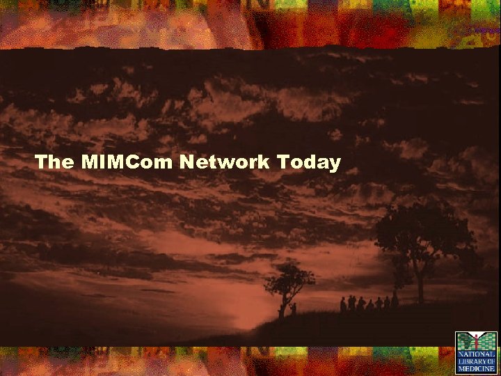 The MIMCom Network Today 