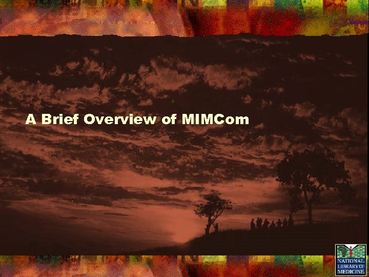 A Brief Overview of MIMCom 