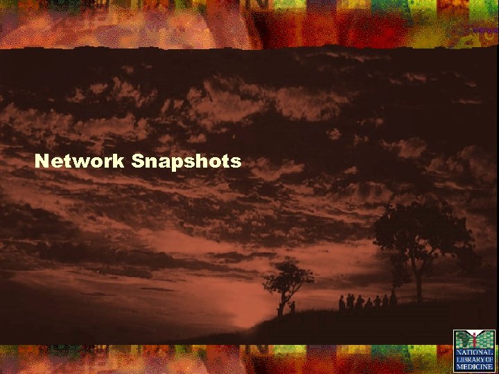 Network Snapshots 