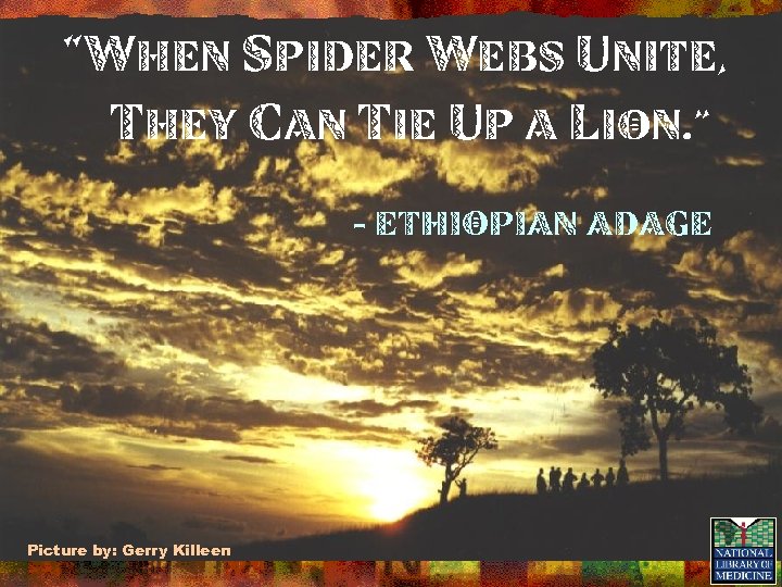 “When spider webs unite, they can tie up a lion. ” - Ethiopian adage