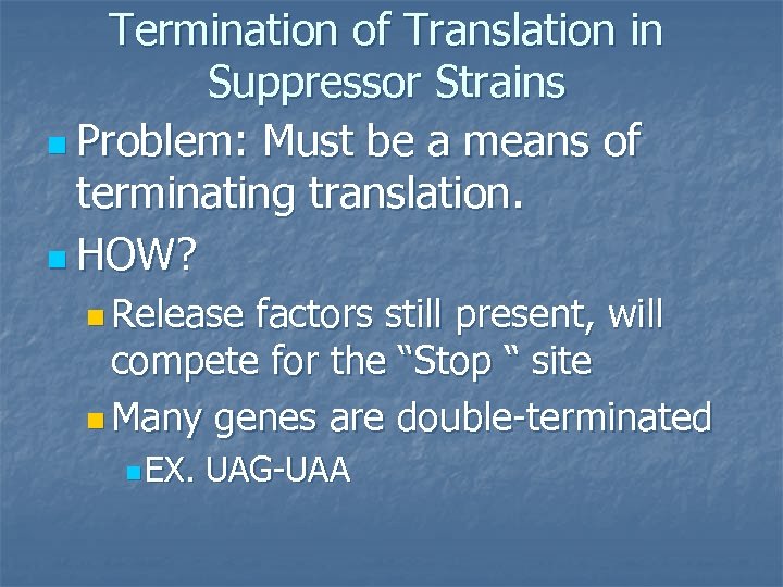 Termination of Translation in Suppressor Strains n Problem: Must be a means of terminating