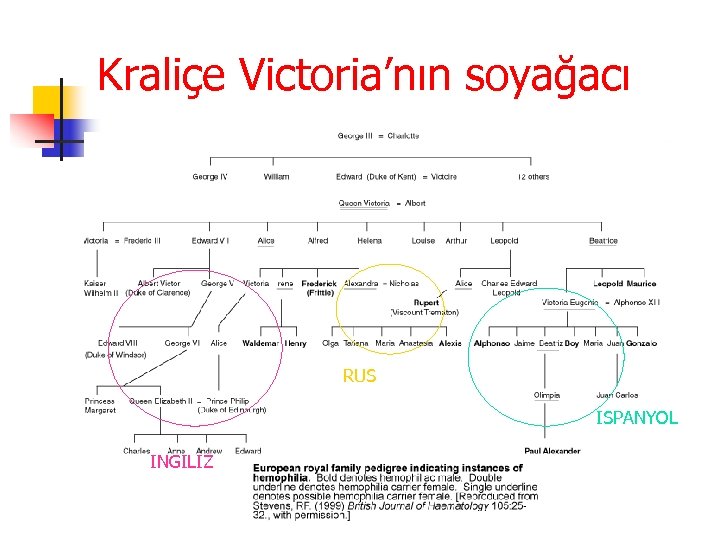 Kraliçe Victoria’nın soyağacı RUS ISPANYOL INGILIZ 