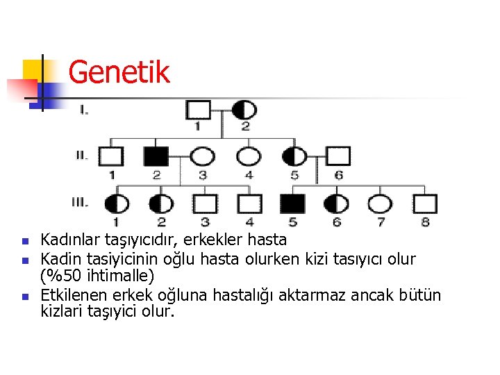 Genetik n n n Kadınlar taşıyıcıdır, erkekler hasta Kadin tasiyicinin oğlu hasta olurken kizi