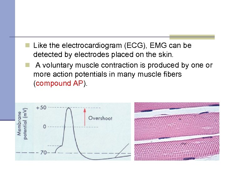 n Like the electrocardiogram (ECG), EMG can be detected by electrodes placed on the