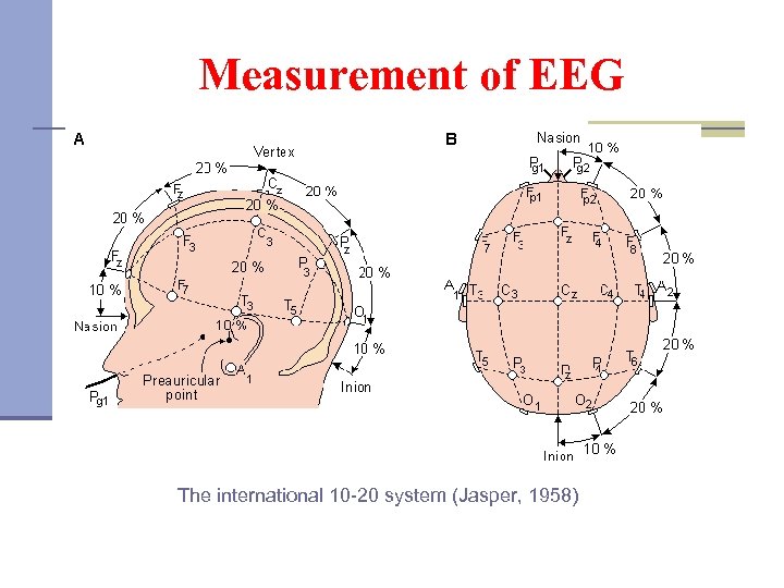 Measurement of EEG The international 10 -20 system (Jasper, 1958) 