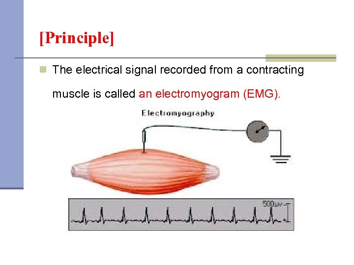 [Principle] n The electrical signal recorded from a contracting muscle is called an electromyogram