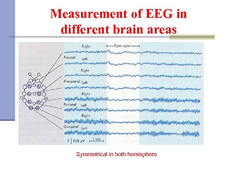 Measurement of EEG in different brain areas Symmetrical in both hemisphere 