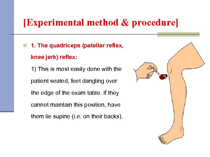 [Experimental method & procedure] n 1. The quadriceps (patellar reflex, knee jerk) reflex: 1)