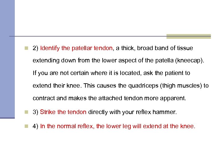 n 2) Identify the patellar tendon, a thick, broad band of tissue extending down