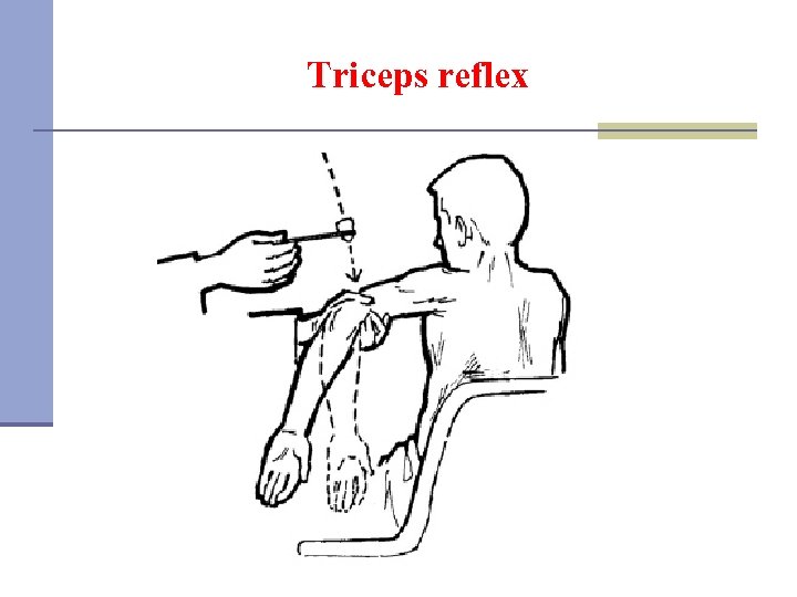 Triceps reflex 