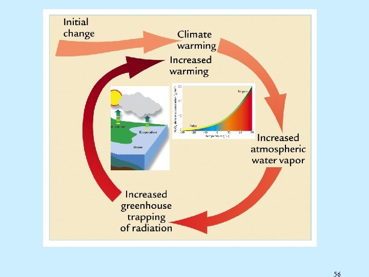 Water Vapor Feedback 56 