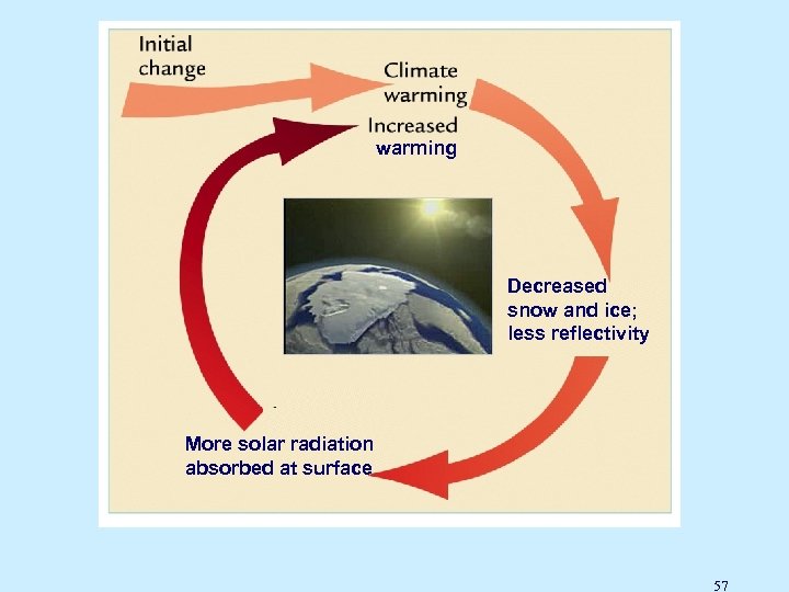 warming Decreased snow and ice; less reflectivity More solar radiation absorbed at surface Ice-Albedo