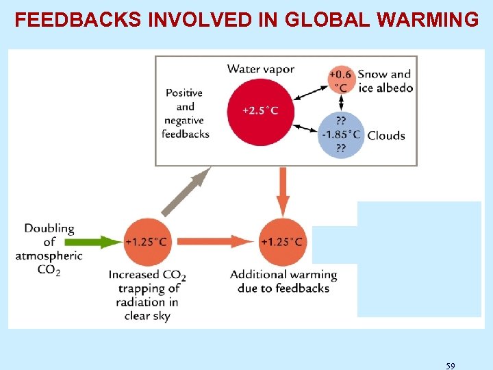 FEEDBACKS INVOLVED IN GLOBAL WARMING 59 