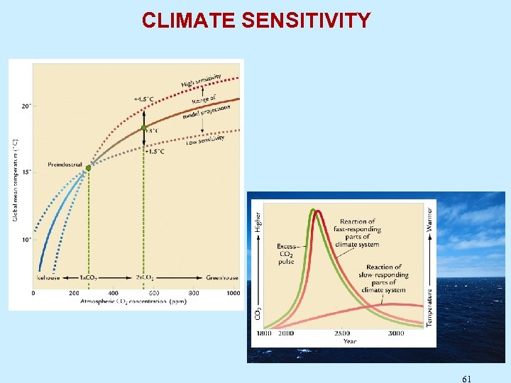 CLIMATE SENSITIVITY 61 