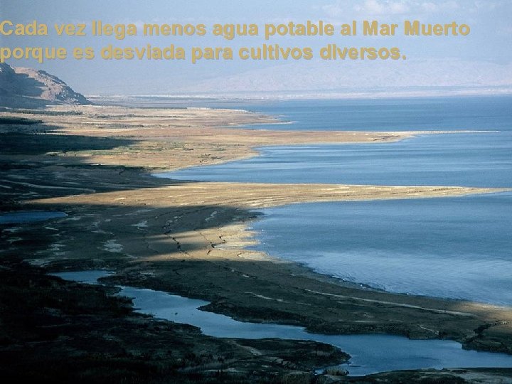 Cada vez llega menos agua potable al Mar Muerto porque es desviada para cultivos