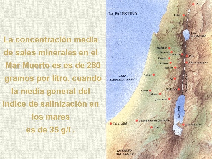 La concentración media de sales minerales en el Mar Muerto es es de 280